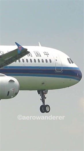 CHINA SOUTHERN AIRLINES A321-200 landing at Ho Chi Minh City Airport #shorts #plane #a321 #landing