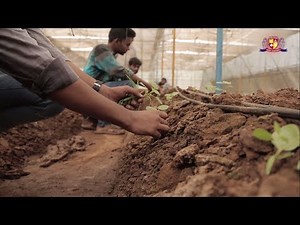 Faculty of Agriculture | Parul University | A Glimps