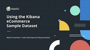 Using the Kibana eCommerce Sample Dataset -  HostingJournalist.com