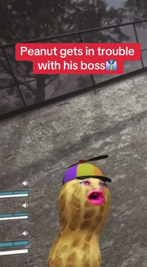 Peanuts boss gets angry at him 😢#fypp #theburntpeanut #veiws #fyp #sad