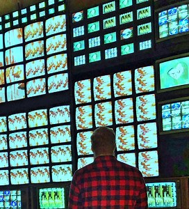 Tape Tree Concert & Tour History  | Concert Archives