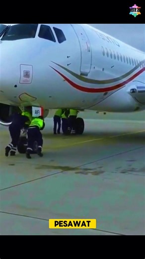 Still helped push even though the plane can fly by itself 🤔 #uniquefacts #plane #airport #pilot