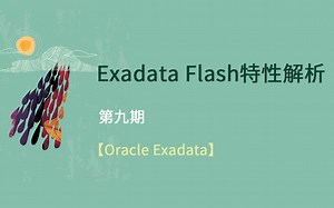 【Oracle Exadata】Exadata Flash 特性解析