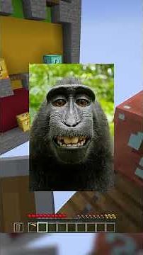 Minecraft Trust Fall 1V1 #shorts