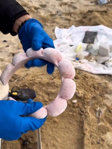 Discover Rare Beach Treasures During Cleanup