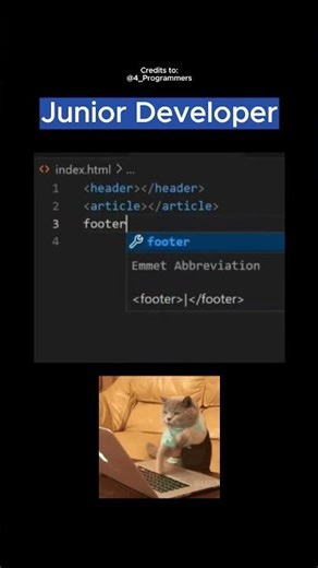 Senior Developer vs Junior Developer #4