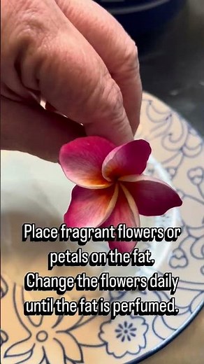 Enfleurage season is here! DIY your own solid perfume. #Enfleurage #PerfumeMaking #NaturalPerfume