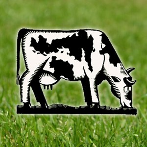 (1932) Manchester Rambler by Ewan MacColl