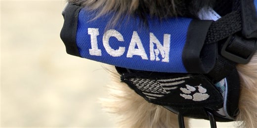 ICAN service dogs in training to deliver Valentine’s Day treats to northeast Indiana residents