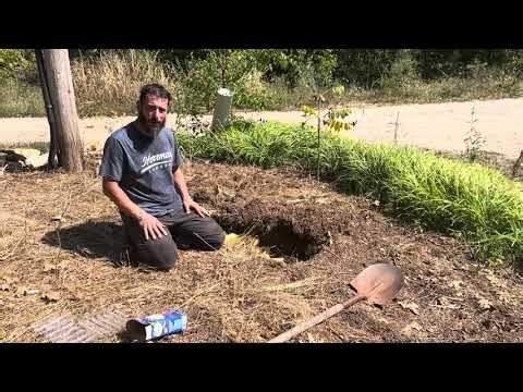 All About Trench Composting