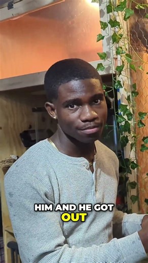 Draco's New Enclosure Iguana & Tortoise Setup!