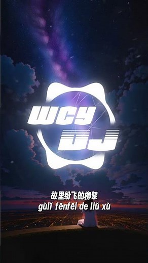 DJ.Lee - 不问别离 「我叹那 春花秋月 不问别离」【動態歌詞/pīn yīn gē cí】【動態歌詞/Lyrics Video】 #DJ.Lee #不问别离 #動態歌詞