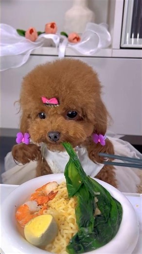 I like to eat green amaranth #dog