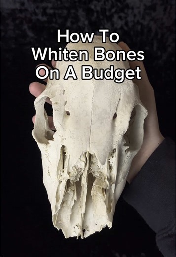 Affordable Bone Whitening Method Explained