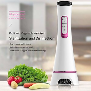 [Hot Item] Ozone Ultrasound Fruit and Vegetable Cleaner Ultrasonic Washer