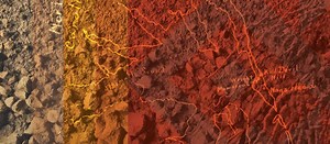 Department of Geology: Grounded in Science and Exploration