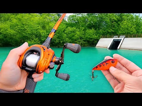 Fishing a Small Pond for MONSTER Bass!