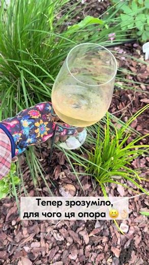 Нарешті я зрозуміла, для чого саме ця опора 😂👌🏼 #сад #город #квіти #гумор #вино
