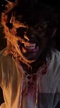 Caution: Werewolves Exist