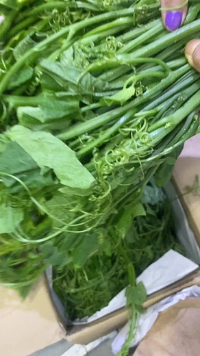 Vegetables&Fruits على TikTok