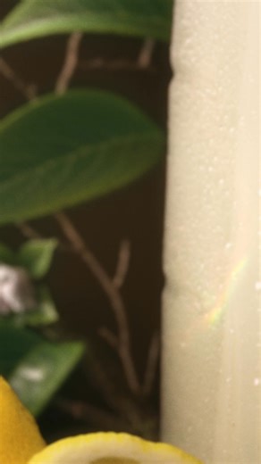 1.2K reactions · 8 comments | Squeeze in a little break. | Simply Beverages | Facebook