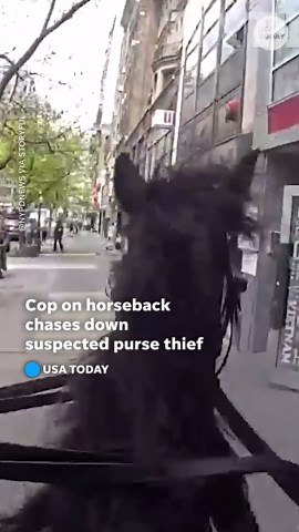 Police officer on horseback chases down suspected purse thief