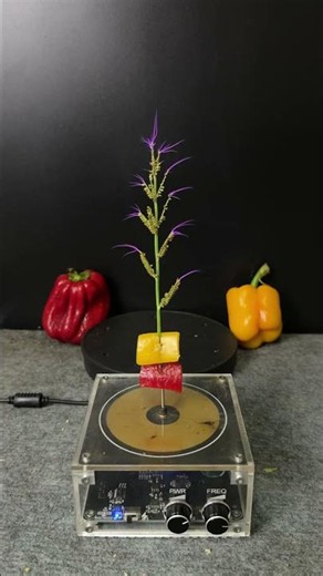 Tesla Coil + Peppers skin + Grass #experiment #teslacoil #shorts