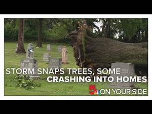 Storm snaps trees, sends some crashing into homes, headstones in Shrewsbury