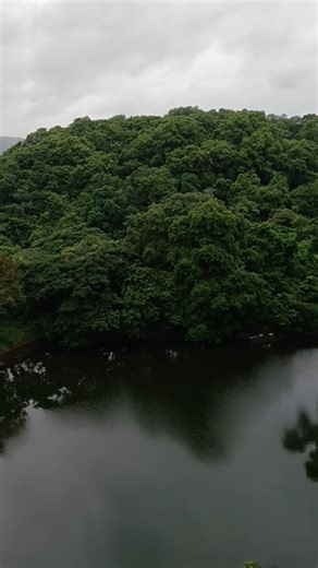 മഴനടത്തം @Mannuthy Veterinary College Campus ❤️. #naturelovers #nature #college #vlog #veterinary