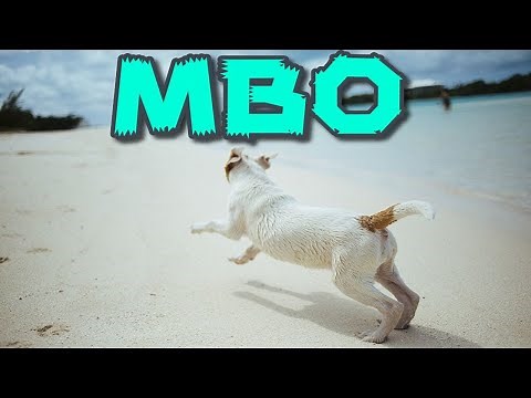 MBOとは何か？わかりやすく解説