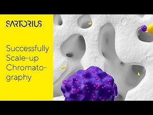 How to Successfully Scale Up with Chromatography