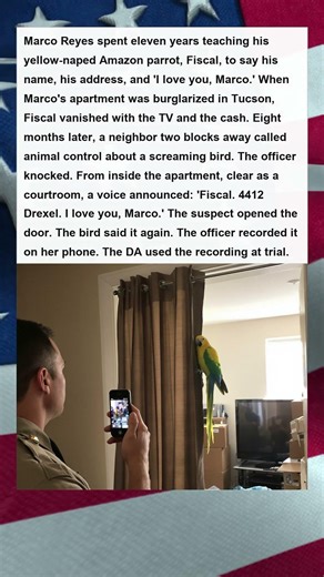 Stolen Parrot Testifies Against His Thief