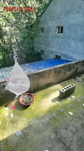 Real life fruit ninja! After years of practice, a Chinese man can cut through stuff with poker cards! | Beautiful China