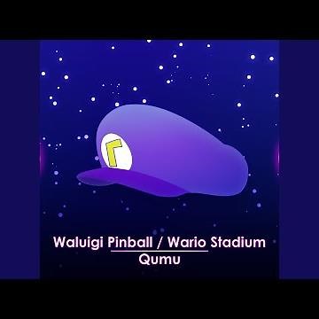 Waluigi Pinball / Wario Stadium (From "Mario Kart DS")