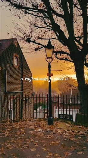 Phool khilte hai log milte hai magar #zindegikisafar #abhijeet #kishorekumar #oldhindisongs #sadsong