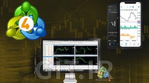 Understanding and Master MT4 like a pro forex trader