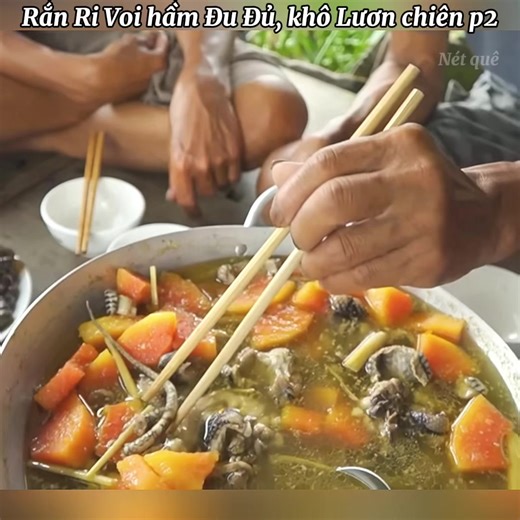 Rắn Ri Voi hầm Đu Đủ p2. #netque #nauan #monandanda #amthucmientay #monanmientay