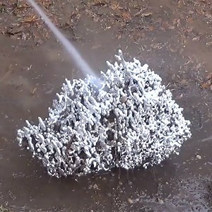 Casting fire ant colonies is so fascinating to watch! 🐜😱 | VT