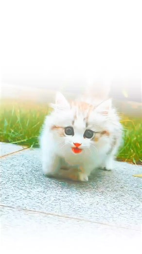 Hazrat Ali Ra ne farmai ✍️❤️‍🩹❣️ #motviation #inspirationalquotes #foryoupage #foryou