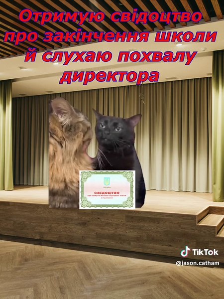 У кого теж червень пролетів непомітно? 😭 Більше відео в профілі 👉 Всі коти з відео є в телеграмі в описі 👉 #літо #школа #випускний #україна🇺🇦 #fyp #viral #кіт #нмт #прикол