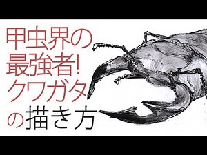 【デッサン上達】クワガタムシの描き方～ペンと水彩絵具 How to draw Stag beetle 《解説と雑学》
