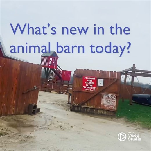 We’ve got a LUCKY Springtime SURPRISE in the petting zoo! TRIPLET BABY GOATS were born this morning. So sweet, healthy and already learning the ropes with the help of mama goat. CAN YOU HELP US NAME THESE CUTIES? VISIT THE TRIPLETS SOON! Petting zoo open March 23,24,29,30! 9-4pm. https://windyacresfarm.ticketspice.com/easter-bunny-visit-and-egg-hunt Windy Acres Farm is located at 37W 446 Fabyan Parkway Geneva, IL 60134 1/4 mile west of Randall Road www.windyacresfarmstand.com 630-232-6429 | Wind