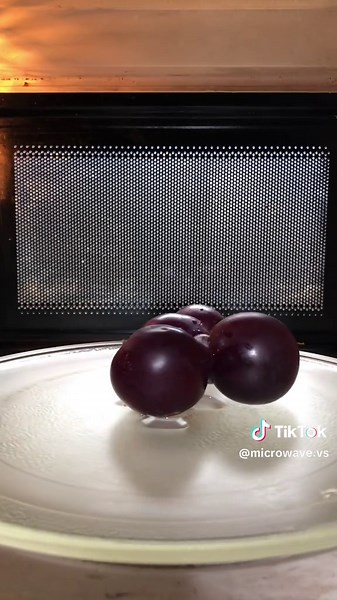 Microwave Prunes Experiment: Uncovering Science