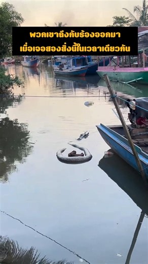 พวกเขาถึงกับร้องออกมา เมื่อเจอสองสิ่งนี้ในเวลาเดียวกัน