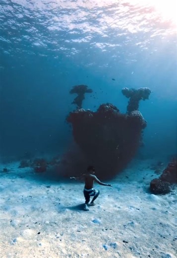 Exploring the Beauty of Apo Reef: My Diving Adventure