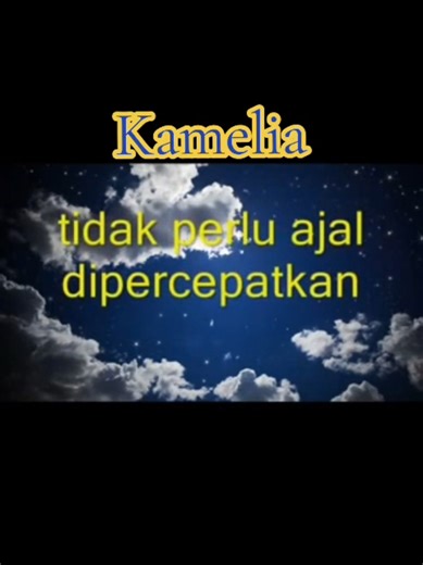 Exploring 'Kamelia' by Sweet Charity: Lyrics and Meaning