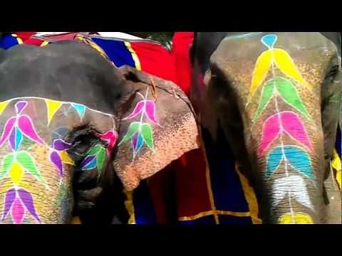 Elephant Festival in Jaipur - Festivals of India