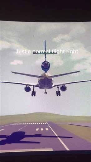 Worst DC-10 crash in besiege