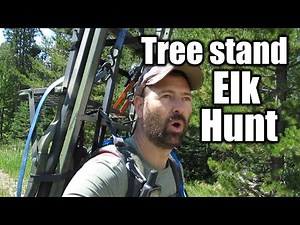 How To Hunt Elk Out Of A Tree Stand | Wyoming Archery Elk |