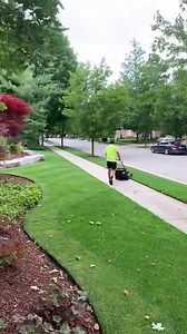 How to Revive a Dead Lawn Step by Step